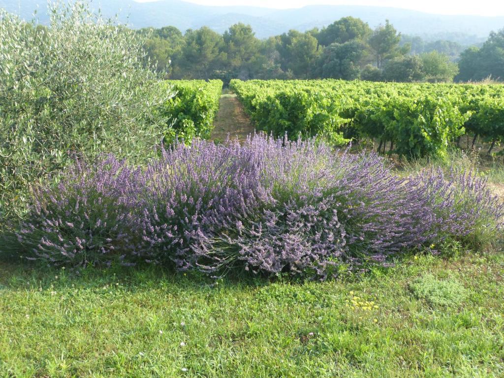 Maison D'Hotes Bastide St Victor A 2,5 Kilometres De Lourmarin Puyvert Dış mekan fotoğraf